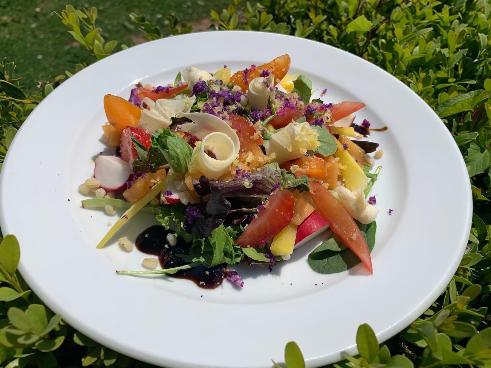 Photo des plats issus de la cuisine proposée par la Cheffe au Prieuré Saint Gabriel
