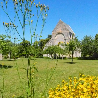 Photo du parc du Prieuré Saint-Gabriel Crédit photo : @prismirisweb.com