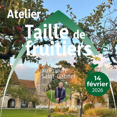 SITE TAILLE ARBRE